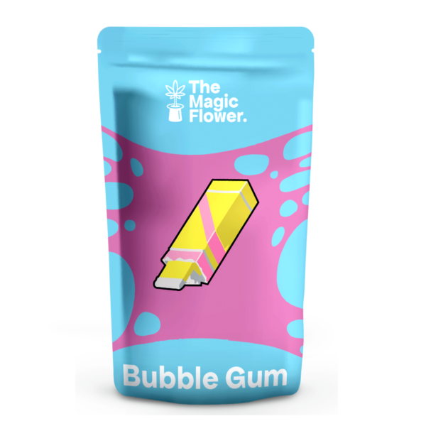 Bubble Gum