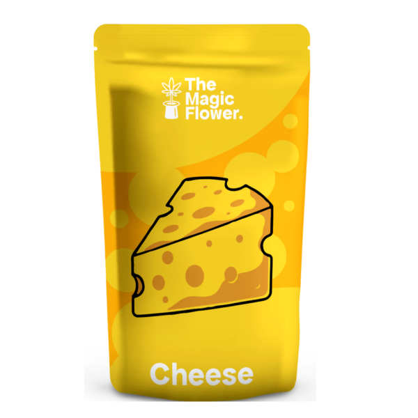Cheese