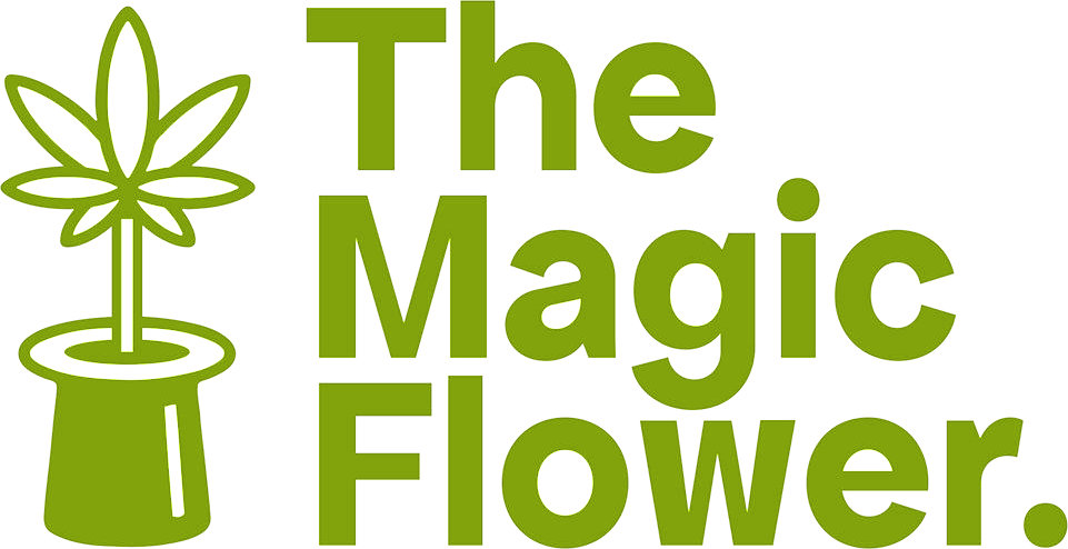 THE MAGIC FLOWER