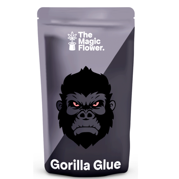 Gorilla Glue