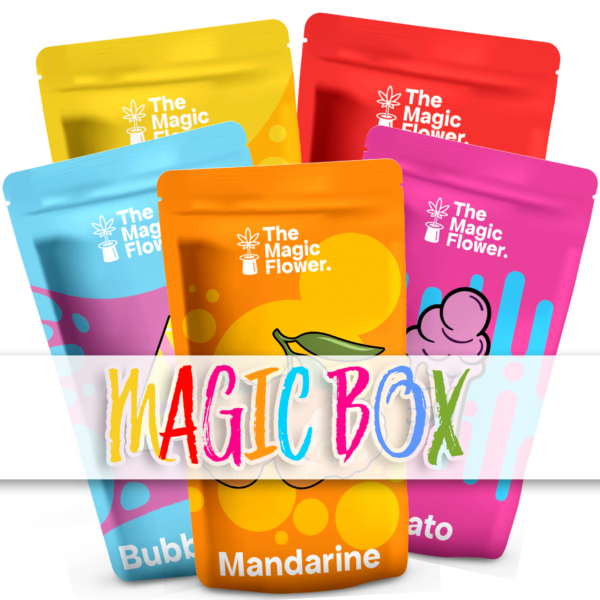 Magic Box