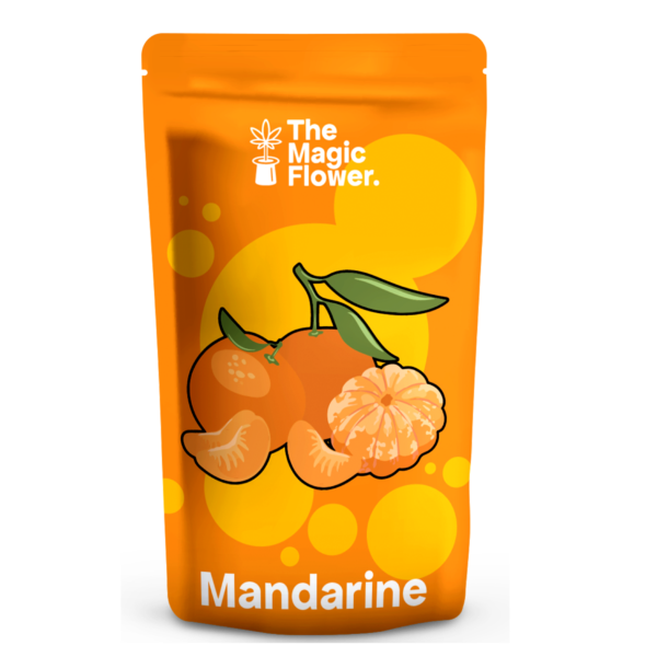 Mandarine