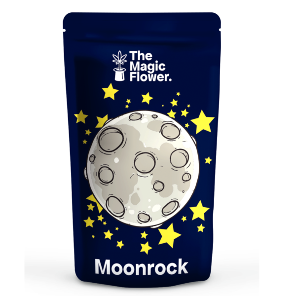 Moon Rock