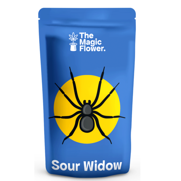 Sour Widow